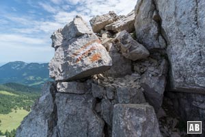 Der Nordgrat der Aiplspitz bietet einige nette Kletterstellen