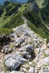 Abstieg über den schrofigen Westgrat (Normalweg) der Aiplspitz