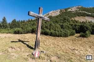 Das Kreuz des Grünen Ups vor dem Gipfelaufbau der Upsspitze