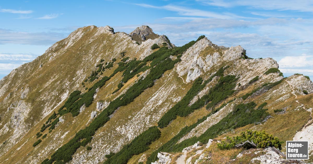 Der Gipfel des Entschenkopfes (Bildmitte ganz hinten) - gesehen aus dem langgezogenen Südgrat