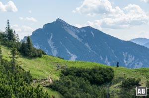 Am Weitalpjoch: Blick zur Scheinbergspitze