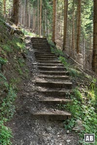 Holztreppen <q>erleichtern</q> die Waldpassage