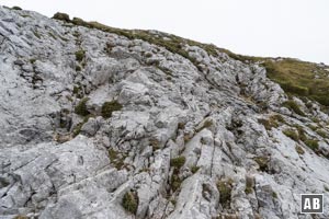 In der Ostflanke anhaltende Kletterei (kurze Stellen II)