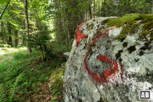 Hier finden wir rechts im Wald einen Felsblock mit großem roten <q>G</q> - die Startmarkierung des Goldtropfsteiges.