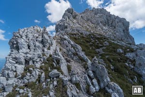 Am Nordgrat den Trittspuren folgen und in leichter Kletterei (I) empor zum höchsten Punkt der Vorderen Goinger Halt