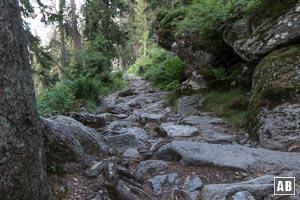 Abstieg über den felsigen Normalweg zurück zum Großen Arbersee