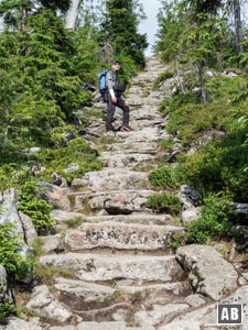 In der Himmelsleiter: unzählige Stufen führen zum Blockmeer an und direkt zum Gipfel des Lusen